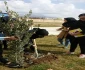 کاشت نهال در محوطه آموزشکده