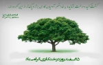 روز درختکاری گرامی باد. 2