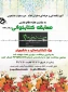 برگزاری مسابقه کتابخوانی بمناسبت هفته دفاع مقدس