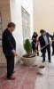کاشت نهال به مناسبت 15 اسفند، روز درخت‌کاری با هدف نهادینه‌سازی «فرهنگ درخت‌کاری» 2