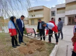 کاشت نهال به مناسبت 15 اسفند، روز درخت‌کاری با هدف نهادینه‌سازی «فرهنگ درخت‌کاری» 3