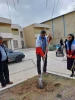 کاشت نهال به مناسبت 15 اسفند، روز درخت‌کاری با هدف نهادینه‌سازی «فرهنگ درخت‌کاری» 4