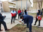 کاشت نهال به مناسبت 15 اسفند، روز درخت‌کاری با هدف نهادینه‌سازی «فرهنگ درخت‌کاری» 6