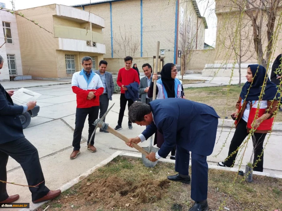 کاشت نهال به مناسبت 15 اسفند، روز درخت‌کاری با هدف نهادینه‌سازی «فرهنگ درخت‌کاری» 6