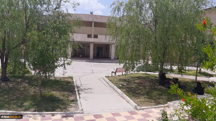 محیط دانشگاه - 6