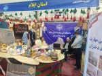  بازدید جناب آقای دکتر شمامی مدیرکل محترم دانشجویی ازغرفه دانشگاه ملی مهارت استان ایلام در روز دوشنبه ۸ اردیبهشت ماه.

 2